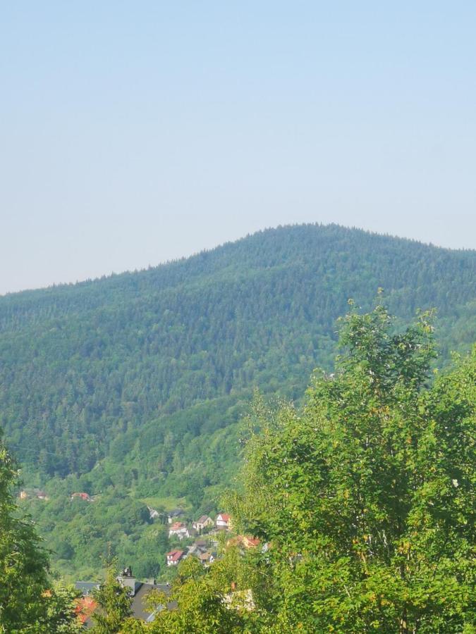 Suskie Diablaki Hotel Sucha Beskidzka Buitenkant foto